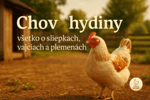 Chov hydiny